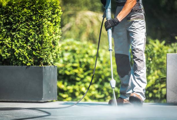 Best Sidewalk and Walkway Cleaning  in Fincastle, TN