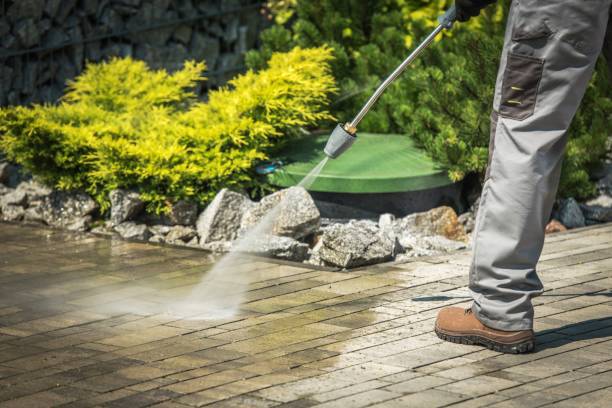 Best Spring Cleaning  in Fincastle, TN