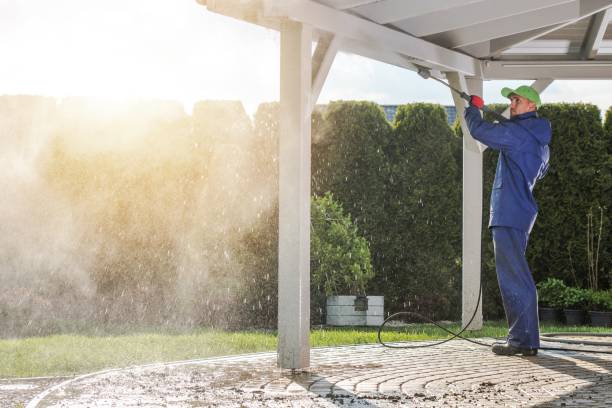 Best Pre-Holiday Cleaning  in Fincastle, TN
